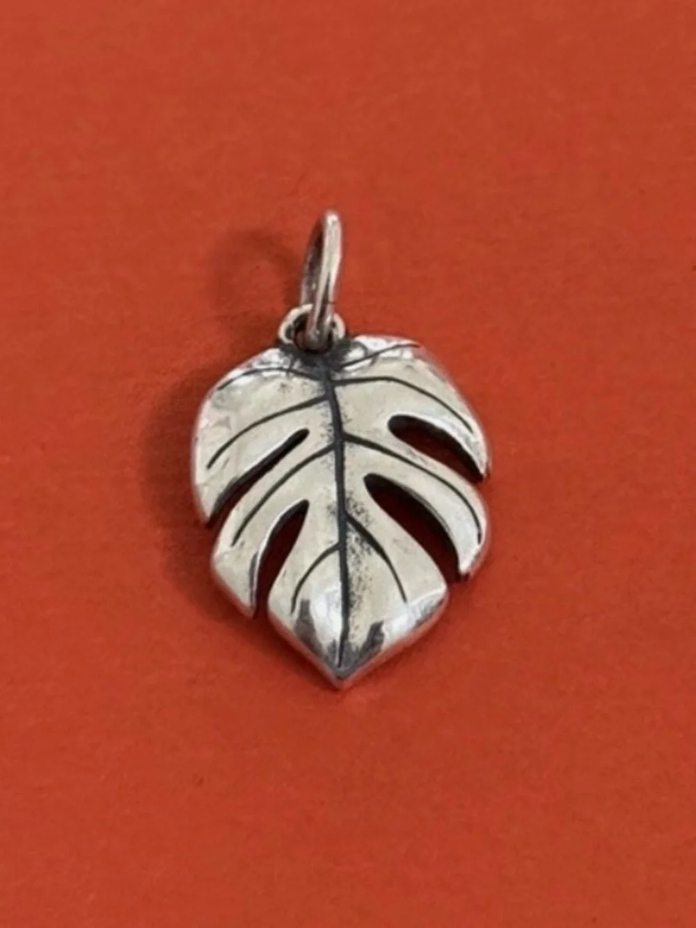 Monstera Leaf Charm - Picture 1 of 1